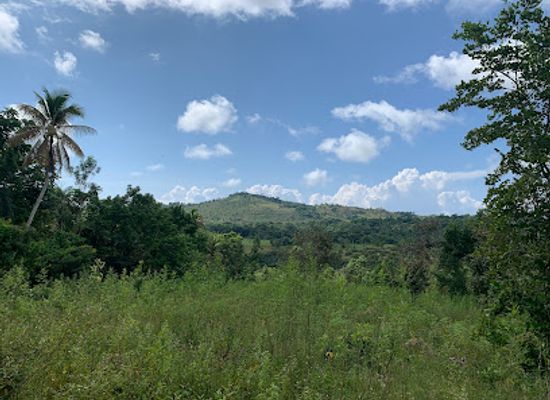 haiti/sud-est/attraction/espace-naturel