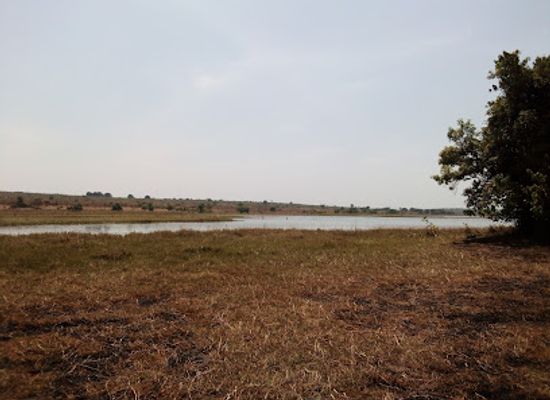 cameroon/adamawa/attraction/lac-bini