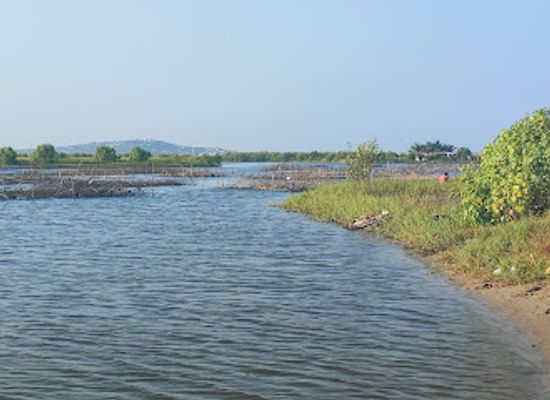 ghana/north-east-region/attraction/densu-delta-protected-area