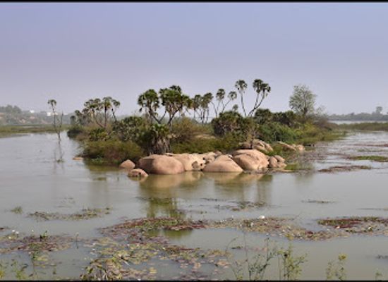 niger/niamey/attraction/kennedy-s-bridge
