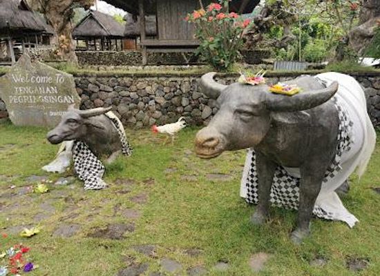 indonesia/bali/attraction/bali-aga-village