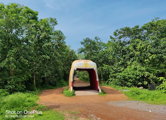 india/chhattisgarh/attraction/kodar-dam