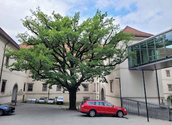 austria/linz/attraction/kaisereiche-schlossberg