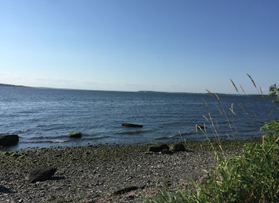 rhode-island/narragansett-bay/attraction/green-animals-topiary-garden