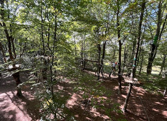 albania/tirana/mount-dajti-national-park/attraction/adventure-park