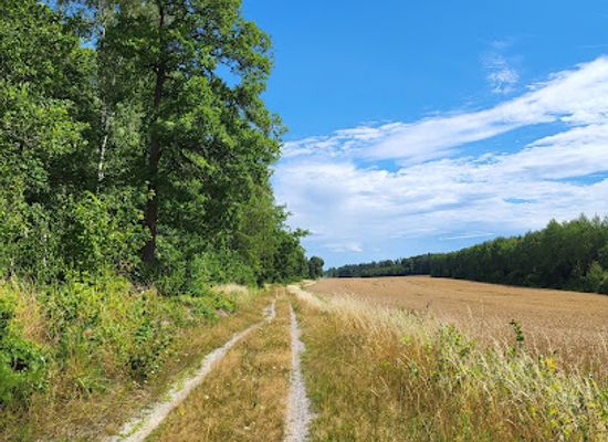 sweden/norrkoping/attraction/kattsattersleden