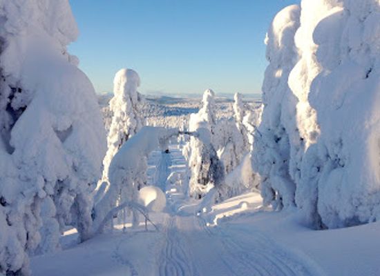 sweden/lapland/attraction/d-experience