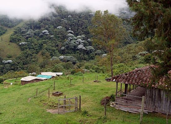 colombia/quindio-department/attraction/cascadas-del-rio-verde