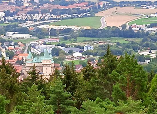 slovakia/trencin-region/attraction/seagull-in-clouds