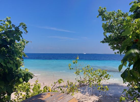 maldives/baa-atoll/attraction/manta-tribe-maldives-tauchzentrum