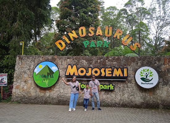 indonesia/east-java/attraction/mojosemi-forest-park