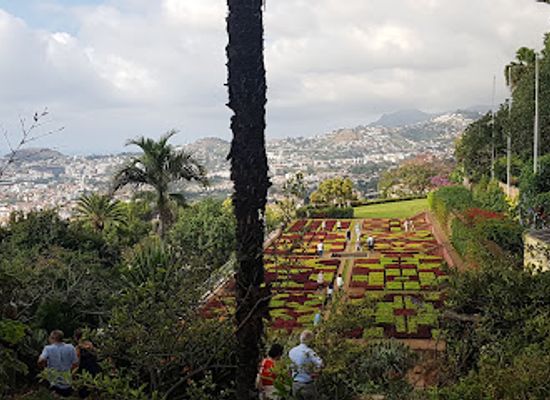 portugal/madeira/attraction/madeira-botanical-garden