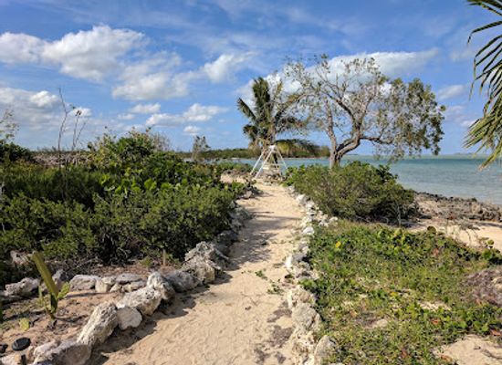 the-bahamas/andros/attraction/forfar-field-station