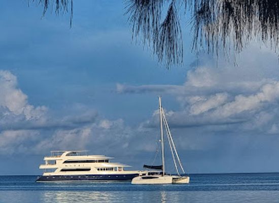 maldives/thinadhoo-island/attraction/shaffafu-maizaan