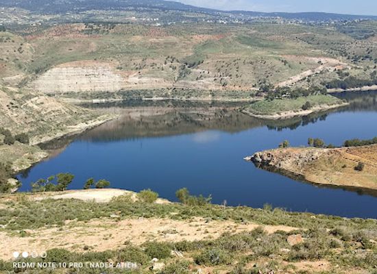 jordan/balqa-highlands/attraction/matl-sd-almalik-talal