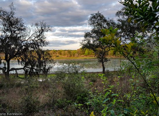 florida/santa-fe-river/attraction/mike-roess-gold-head-branch-state-park