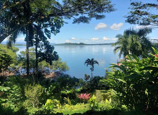 panama/western-panama/attraction/green-acres-chocolate-farm