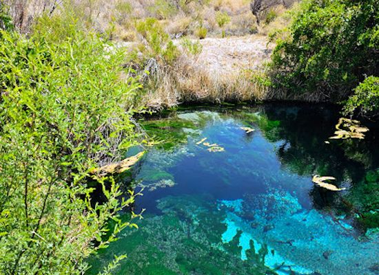 nevada/great-basin/attraction/ash-meadows-national-wildlife-refuge