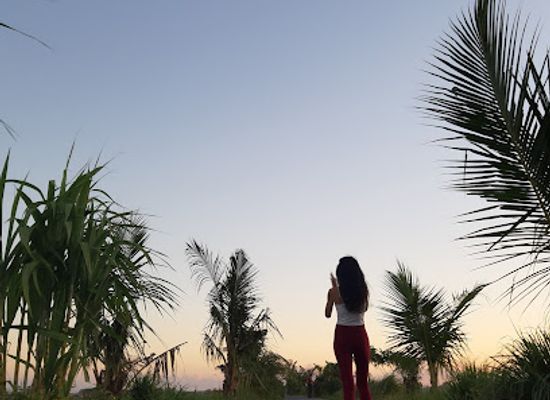indonesia/bali/canggu/attraction/uma-desa-canggu