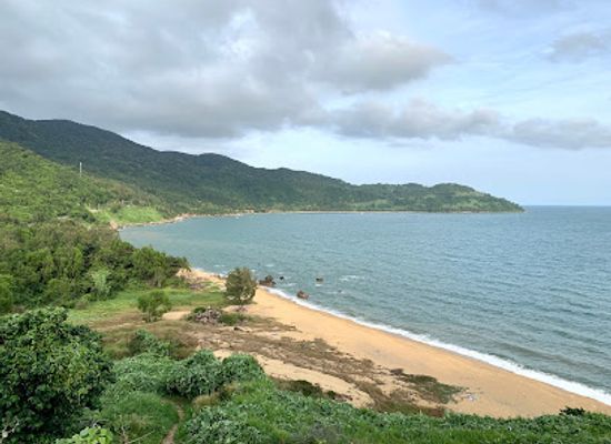 vietnam/south-central-coast/attraction/son-tra-mountain