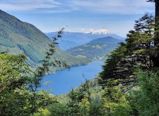 chile/pucon/attraction/parque-nacional-huerquehue