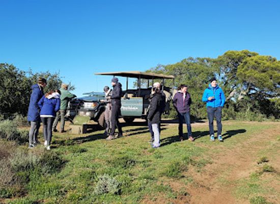 south-africa/sunshine-coast/attraction/amakhala-game-reserve