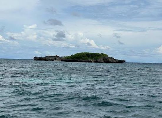philippines/boracay/attraction/crocodile-island