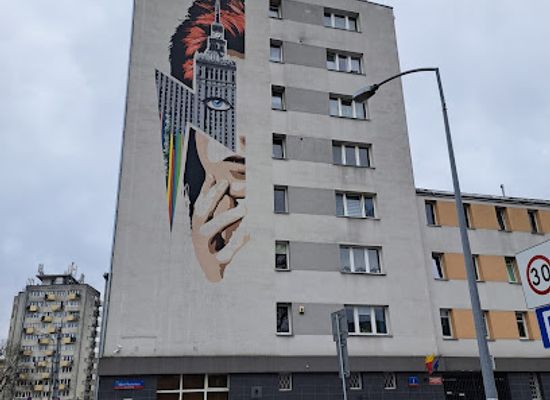 poland/masovia/attraction/mural-david-bowie