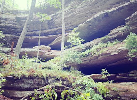 missouri/black-river-basin/attraction/hickory-canyons-natural-area