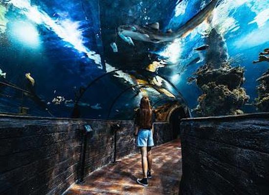 morocco/rabat/attraction/malta-national-aquarium