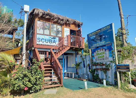 mozambique/ponta-do-ouro/attraction/the-dolphin-centre