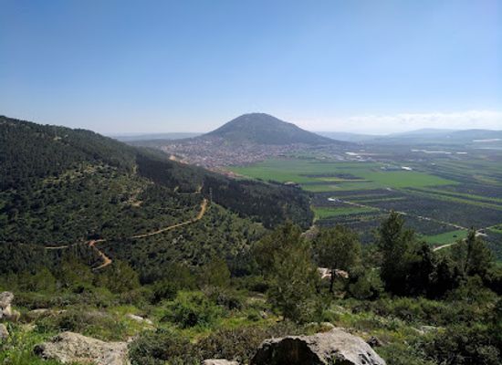 israel/nazareth/attraction/churchill-forest
