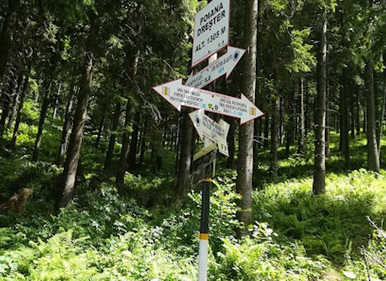 romania/poiana-brasov/attraction/poiana-drester