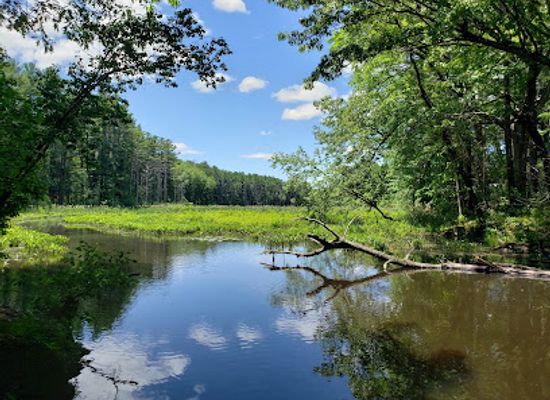 massachusetts/metrowest/attraction/gardner-hill-conservation-area