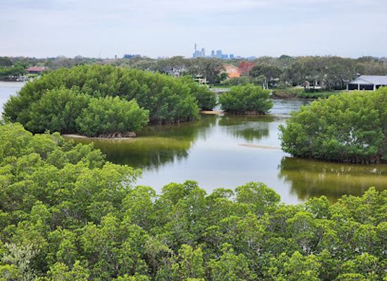 florida/sun-coast/attraction/weedon-island-preserve