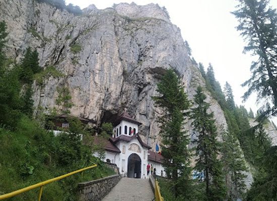 romania/mehedinti/attraction/padurea-colorata