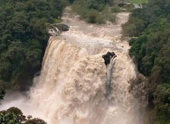 ethiopia/bahir-dar/attraction/yotor-general-event-organizer