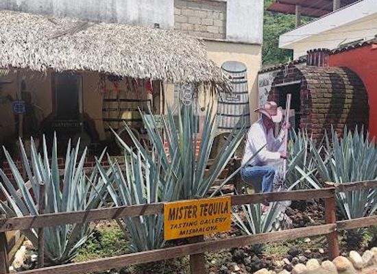 mexico/western-mexico/attraction/mister-tequila