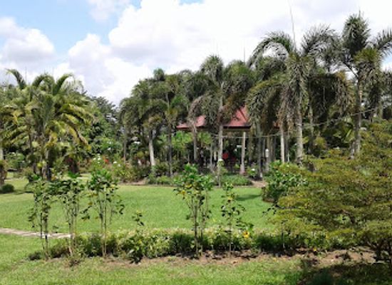 philippines/visayas/attraction/city-garden-and-living-tree-museum