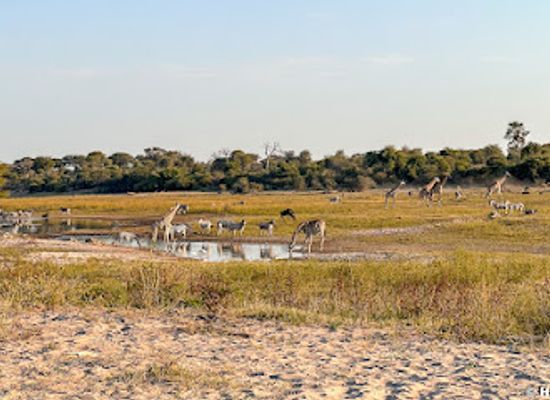 botswana/makgadikgadi-pans/attraction/kumaga-entrance-to-makgadikgadi-pans-national-park