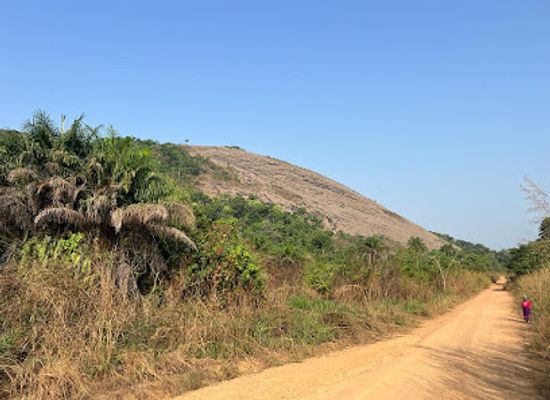 sierra-leone/bombali-district/attraction/kangari-hills-forest-reserve
