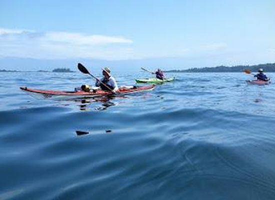 maine/old-orchard-beach/attraction/portland-paddle