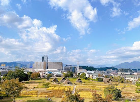 japan/suruga/attraction/toro-park