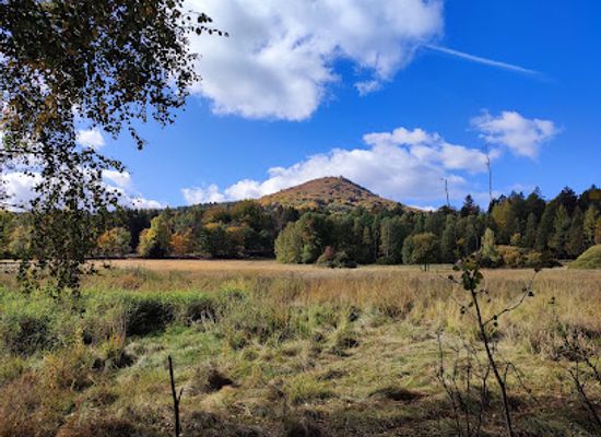 czechia/north-bohemia/attraction/new-brasil-hillside-bog