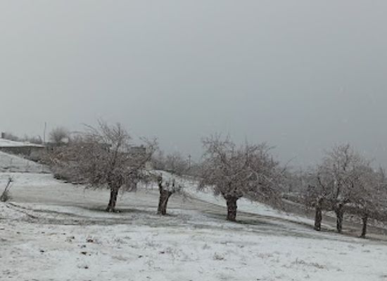 iraq/halabja-governorate/attraction/perisi-serow
