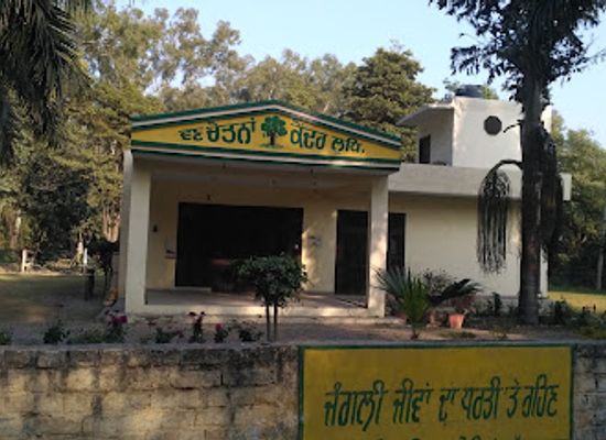 india/punjab/attraction/ludhiana-zoo