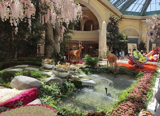 kentucky/henderson/attraction/bellagio-conservatory-botanical-gardens