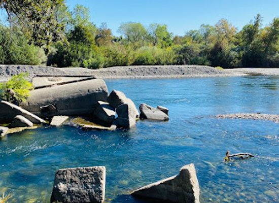 california/shasta-cascade/attraction/turtle-bay-exploration-park