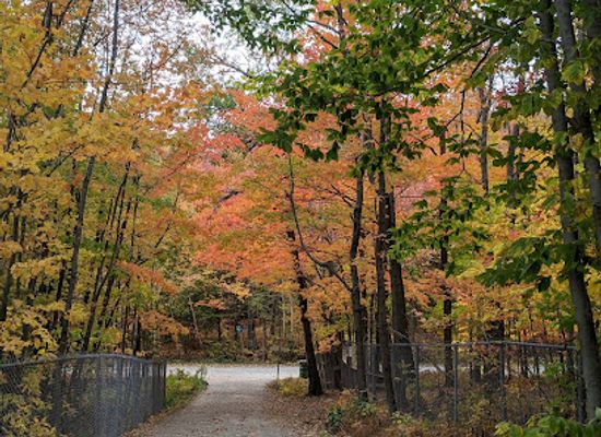 canada/eastern-townships/attraction/parc-du-mont-bellevue-stationnement-dunant