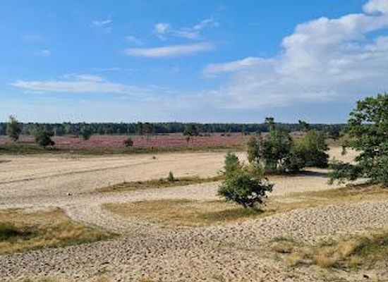 netherlands/eindhoven/attraction/the-loonse-and-drunense-duinen-national-park